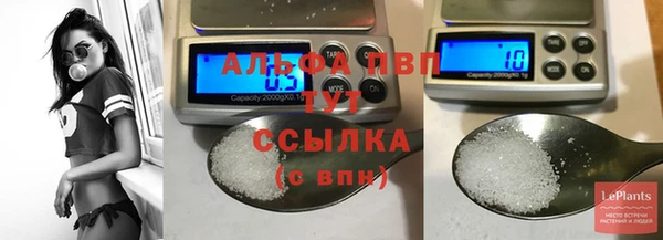 мдпв Козельск