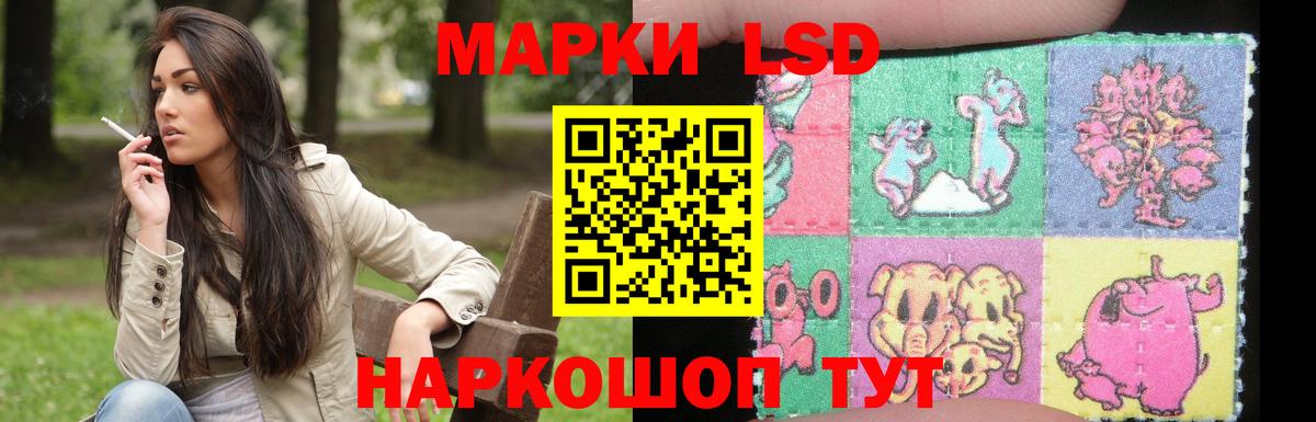 Медногорск  ЛСД экстази ecstasy  Лсд 25 экстази ecstasy  Вход с VPN 