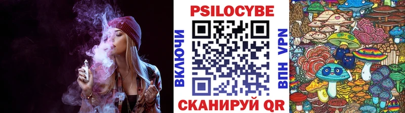 Псилоцибиновые грибы Psilocybe закладки Медногорск